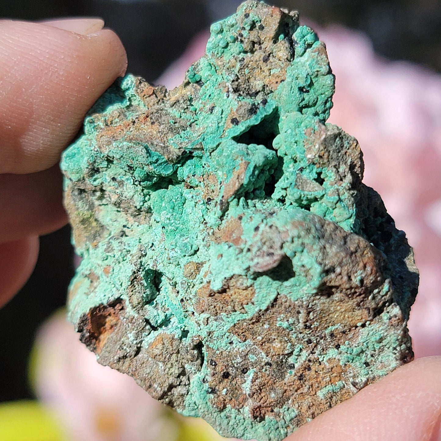 Botryoidal Malachite Rock Specimen | Light Green Copper Ore Mineral | Jerome, Arizona | Raw Stone | 31.20g