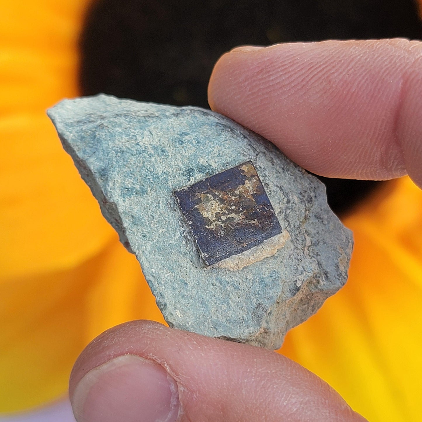 Natural Cubic Limonite after Pyrite Pseudomorph Crystals on Matrix, Wholesale Lot of 9 Pieces, 117 g Total