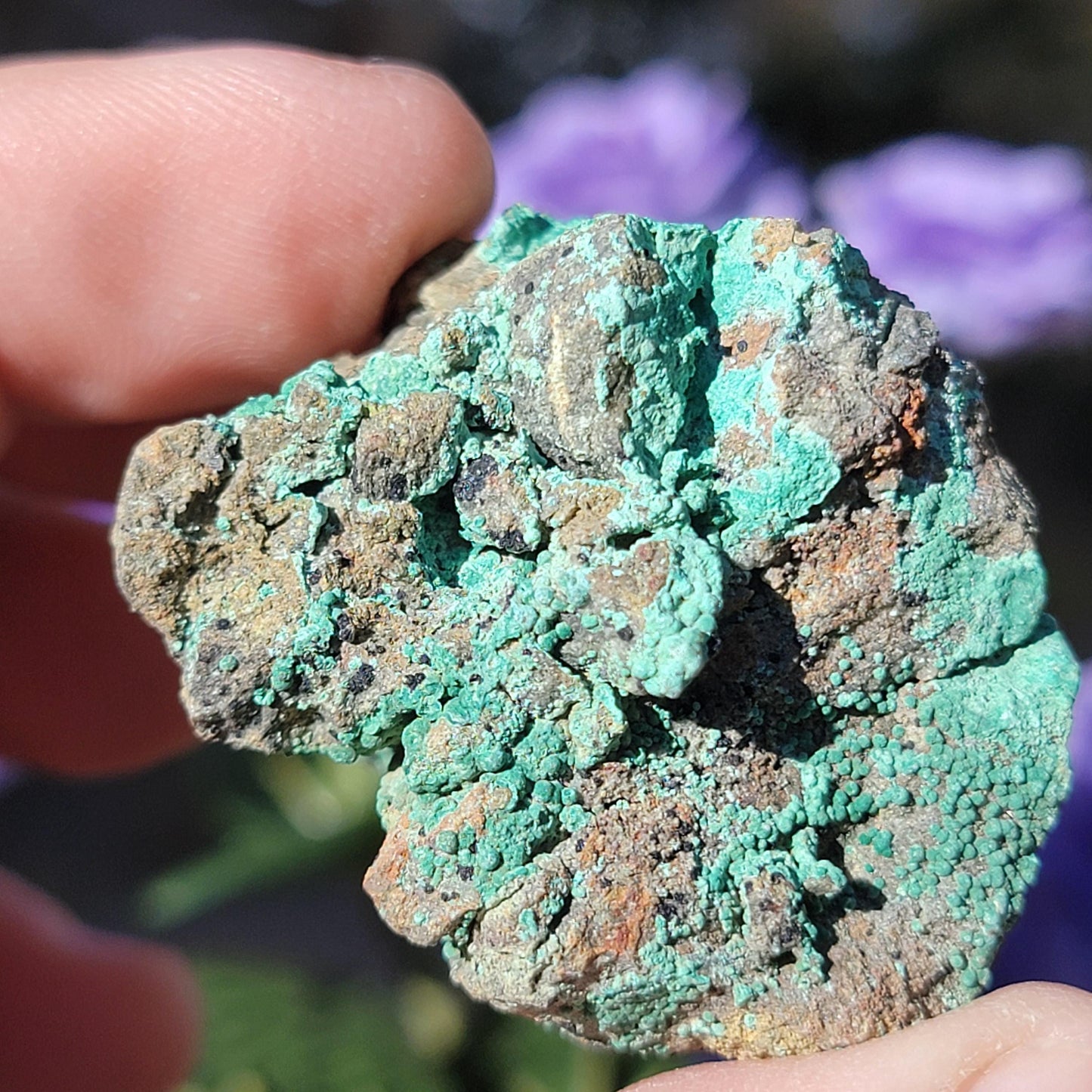 Botryoidal Malachite Rock Specimen | Light Green Copper Ore Mineral | Jerome, Arizona | Raw Stone | 31.20g
