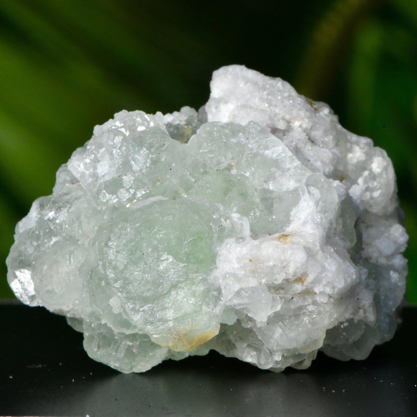 Green Fluorite Rock Specimen | Translucent Crystal with Quartz | 3 Clowns Pocket, Oatman, Arizona | Fluorescent Mineral | 37.6g
