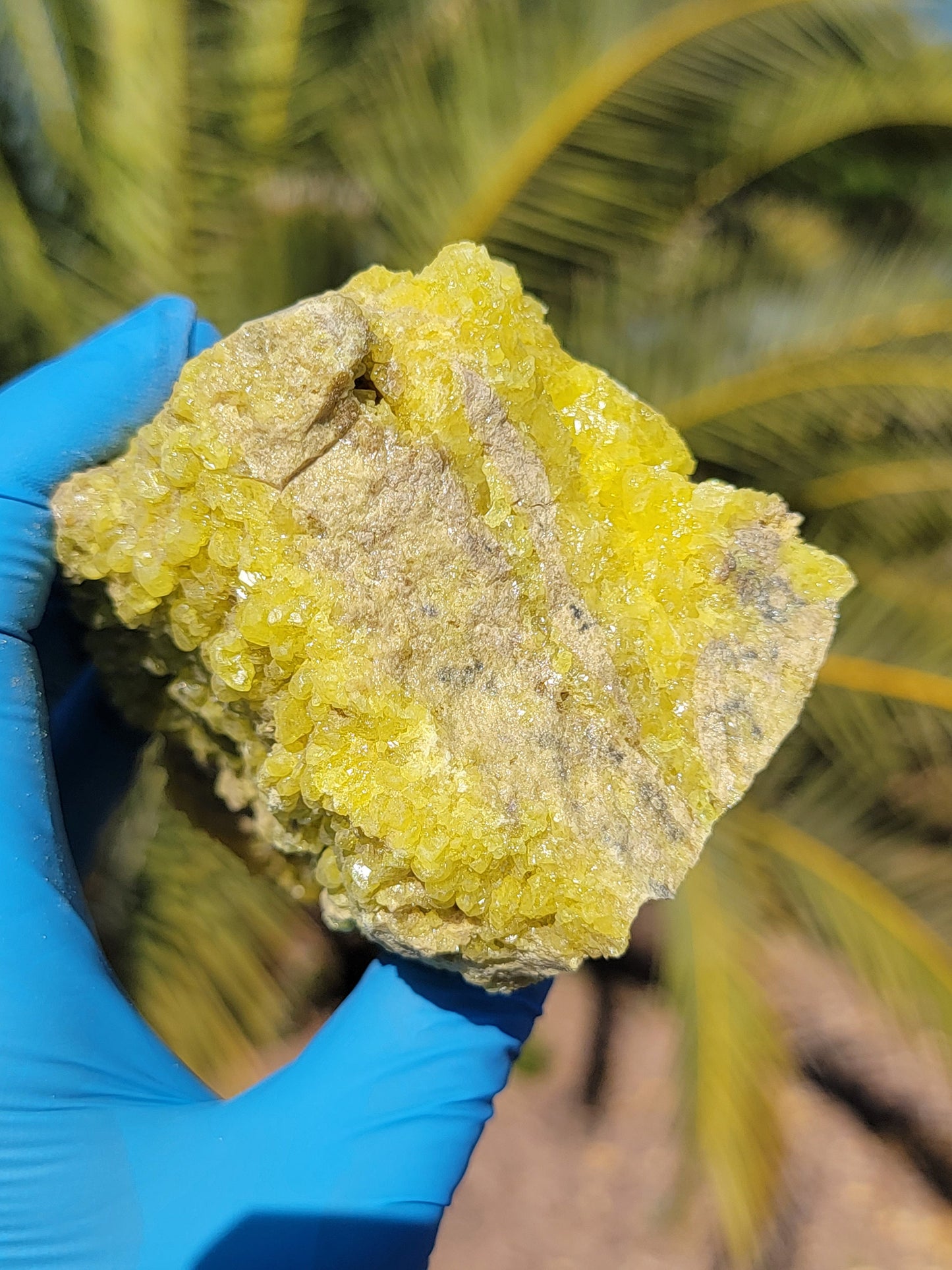 459 g Natural Sulfur Rock Specimen | Yellow Crystal Display Mineral | Raw Stone | Geology Gift | Bolivia