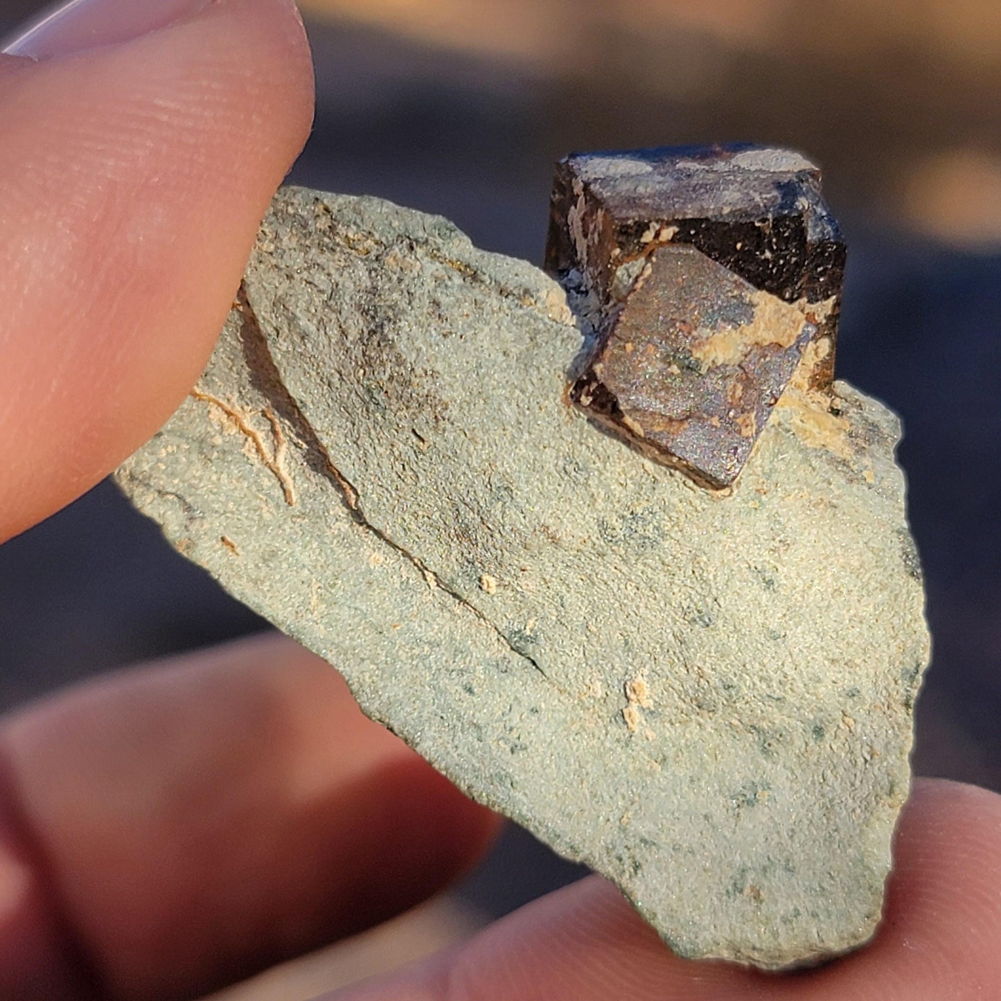 Twinned Limonite after Pyrite Cubes on Matrix from the Harquahala Mountains, Arizona | Pseudomorph Rock Specimen | 12 g | Geology Gift