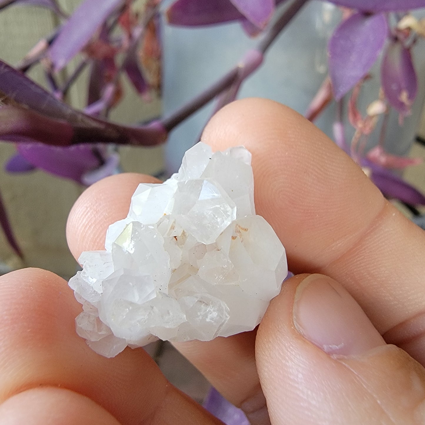 Arkansas Quartz Crystal Rock | Beautiful Cluster of Points | Mt. Ida | 12.04 grams