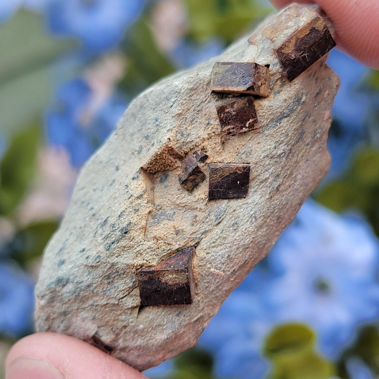 Limonite after Pyrite Cubes on Matrix from the Harquahala Mountains, Arizona | Pseudomorph Rock Specimen | 25.17g | Raw Stone | Geology Gift