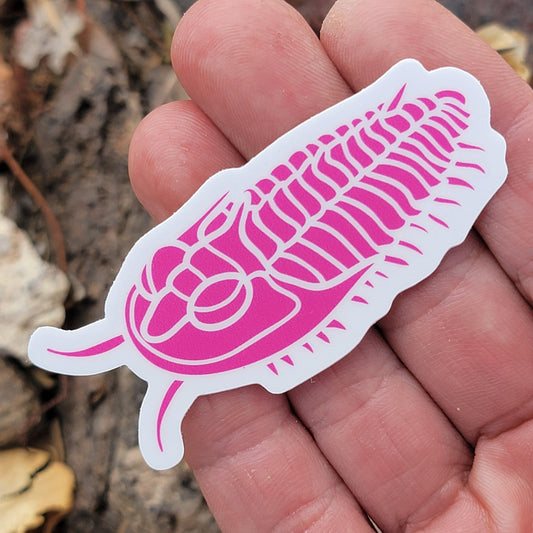 Trilobite Sticker | Neon Pink | Fossil Sticker for Phone Case, Coffee Mug, or Laptop