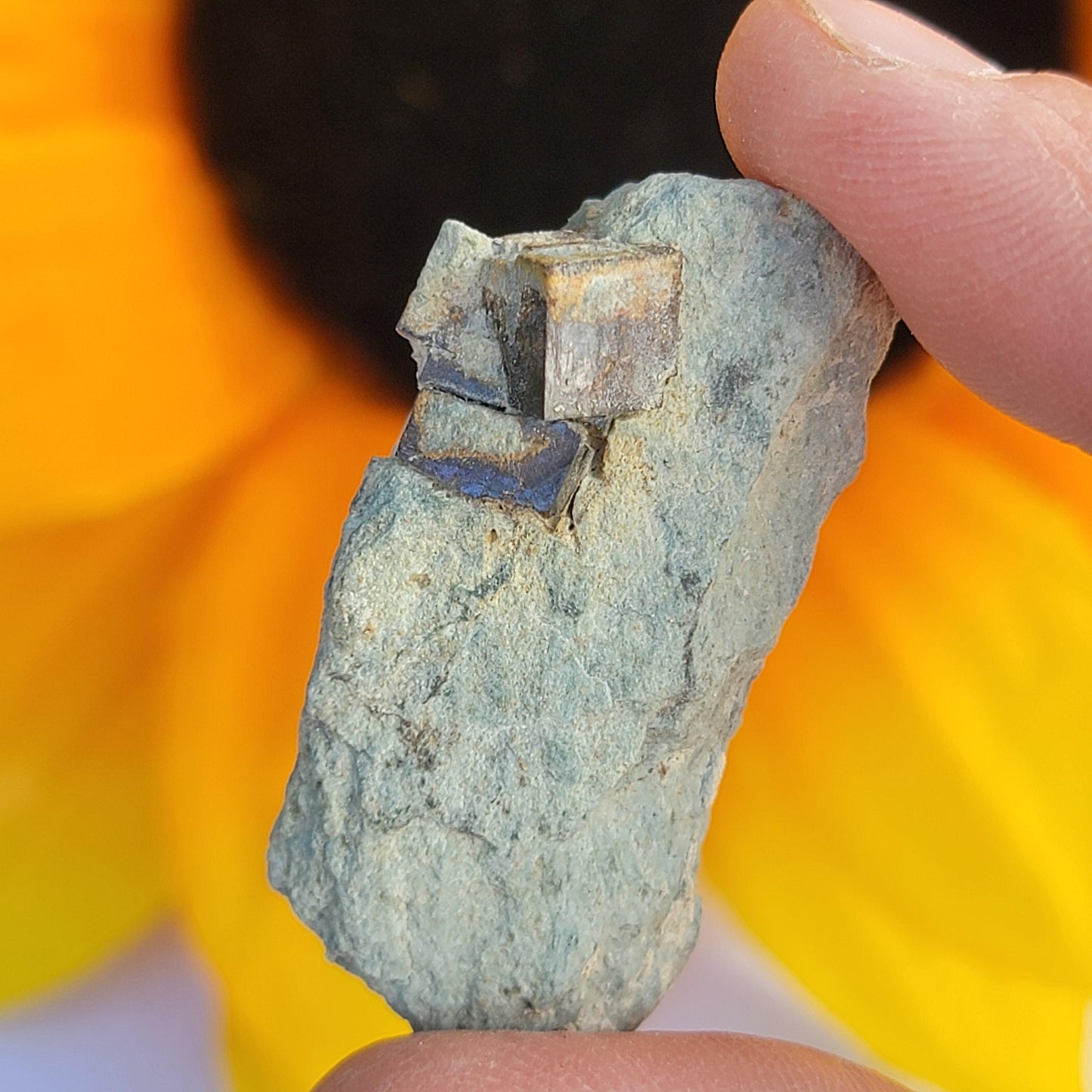 Natural Cubic Limonite after Pyrite Pseudomorph Crystals on Matrix, Wholesale Lot of 9 Pieces, 117 g Total