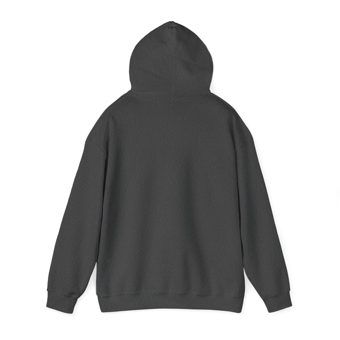Camping Hoodie for Rockhounds, Geologists, & Crystal Digging Adventures - Unisex Hooded Sweatshirt