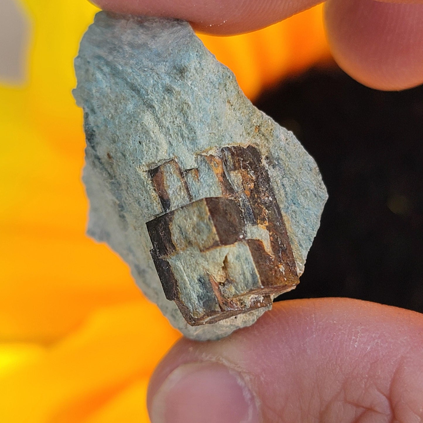 Natural Cubic Limonite after Pyrite Pseudomorph Crystals on Matrix, Wholesale Lot of 9 Pieces, 117 g Total