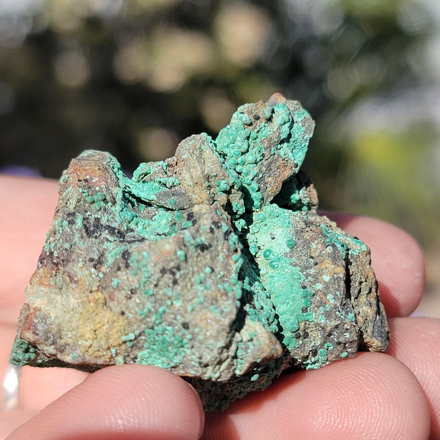 Botryoidal Malachite Rock Specimen | Light Green Copper Ore Mineral | Jerome, Arizona | Raw Stone | 31.20g