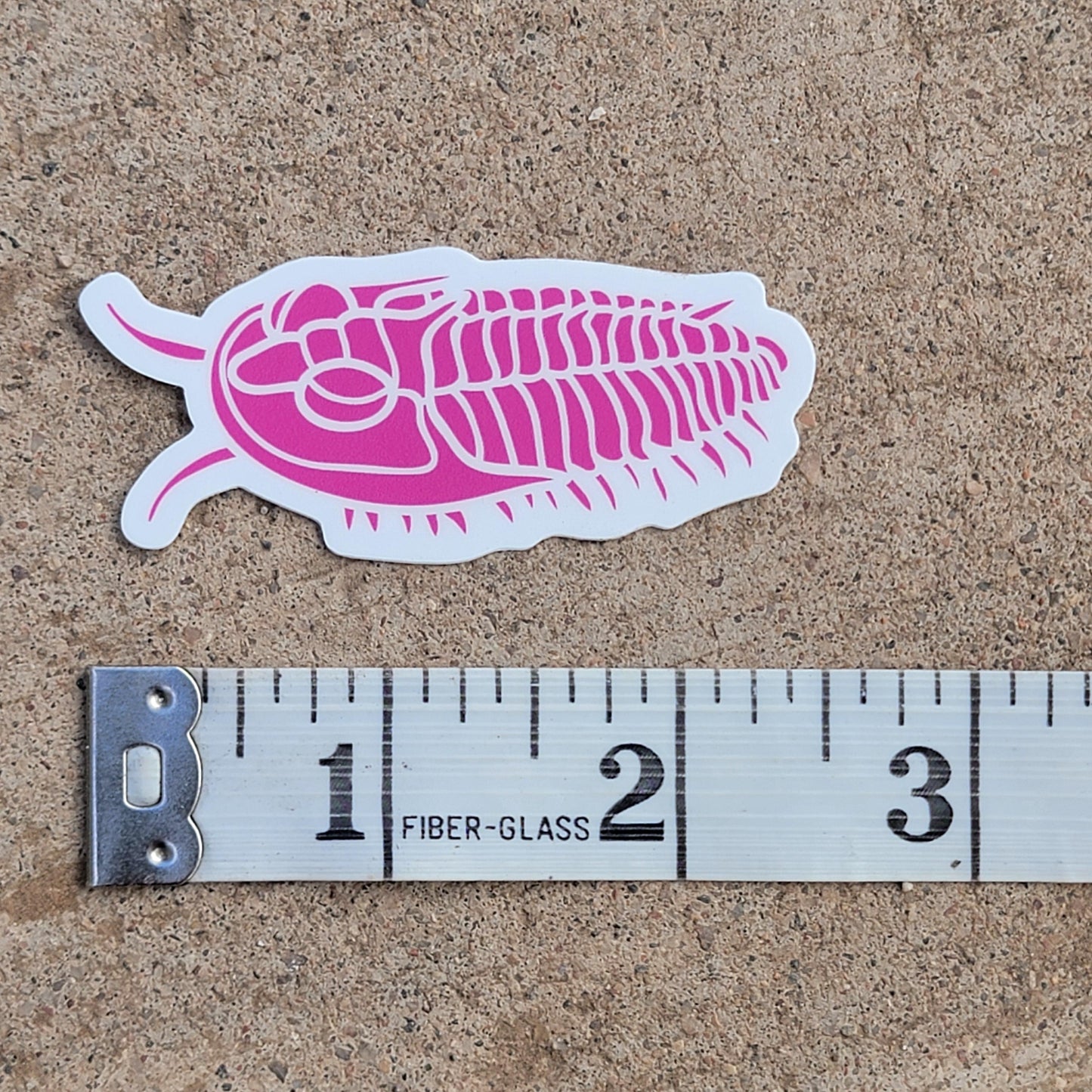 Trilobite Sticker | Neon Pink | Fossil Sticker for Phone Case, Coffee Mug, or Laptop