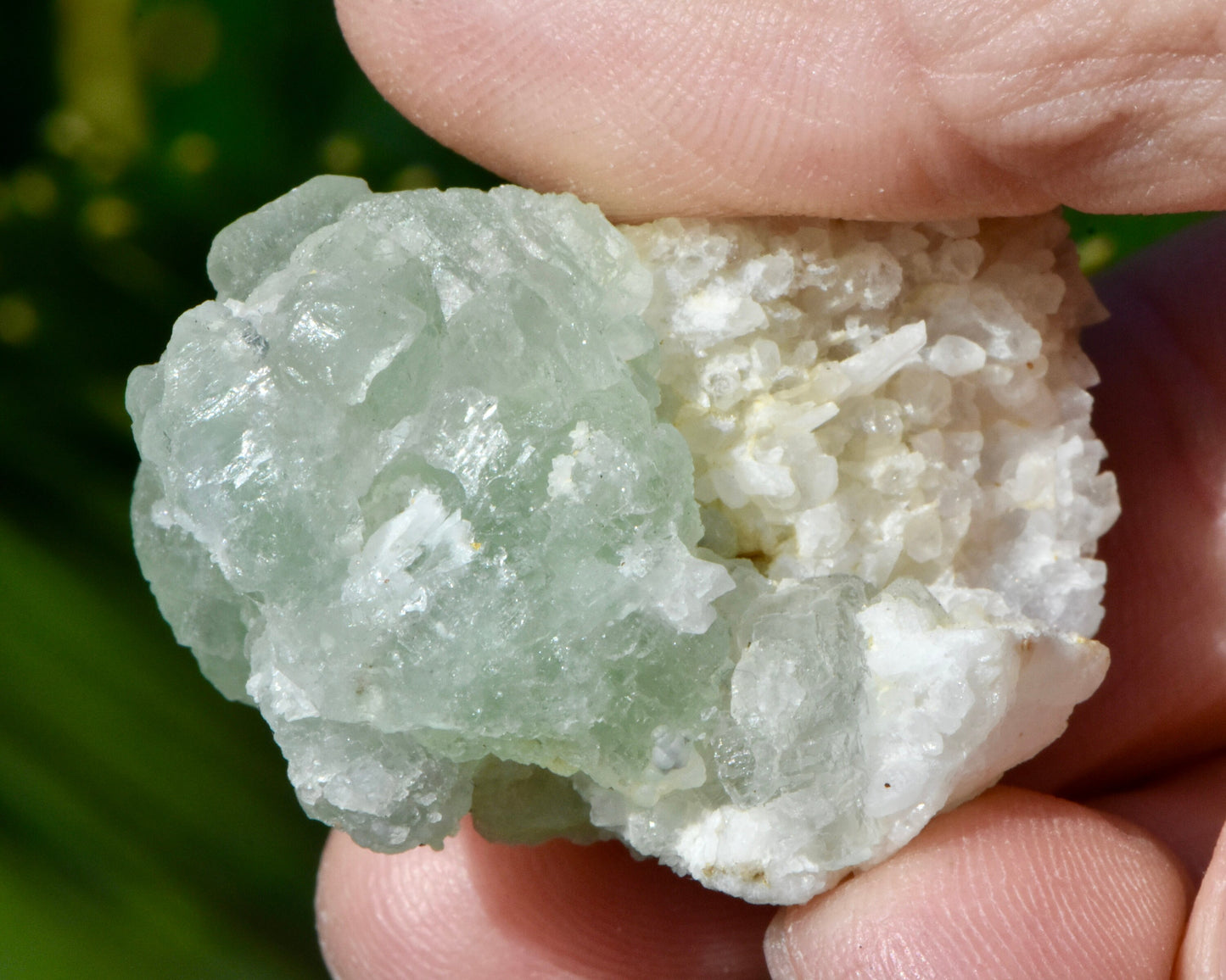Green Fluorite Rock Specimen | Translucent Crystal with Quartz | 3 Clowns Pocket, Oatman, Arizona | Fluorescent Mineral | 37.6g