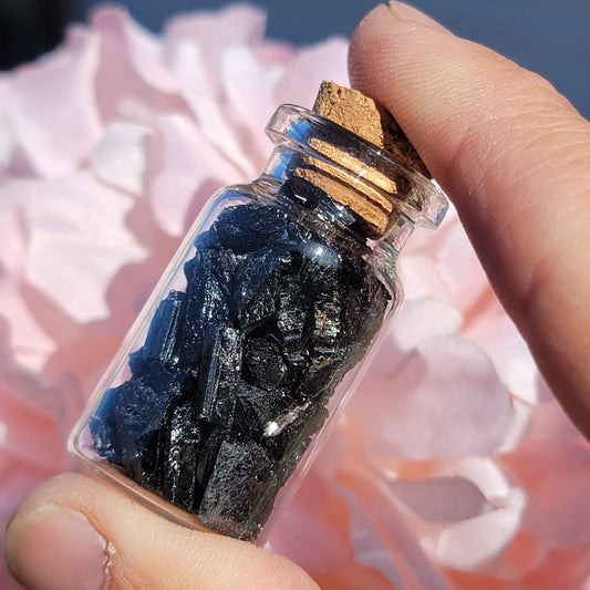 Black Tourmaline Crystals in Glass Bottle, Raw Rough Natural Schorl Rock Pieces, Small Geology Gift