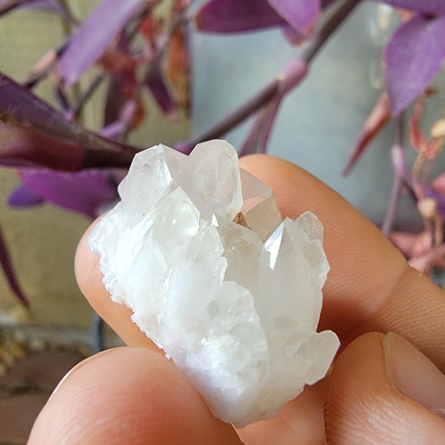 Arkansas Quartz Crystal Rock | Beautiful Cluster of Points | Mt. Ida | 12.04 grams