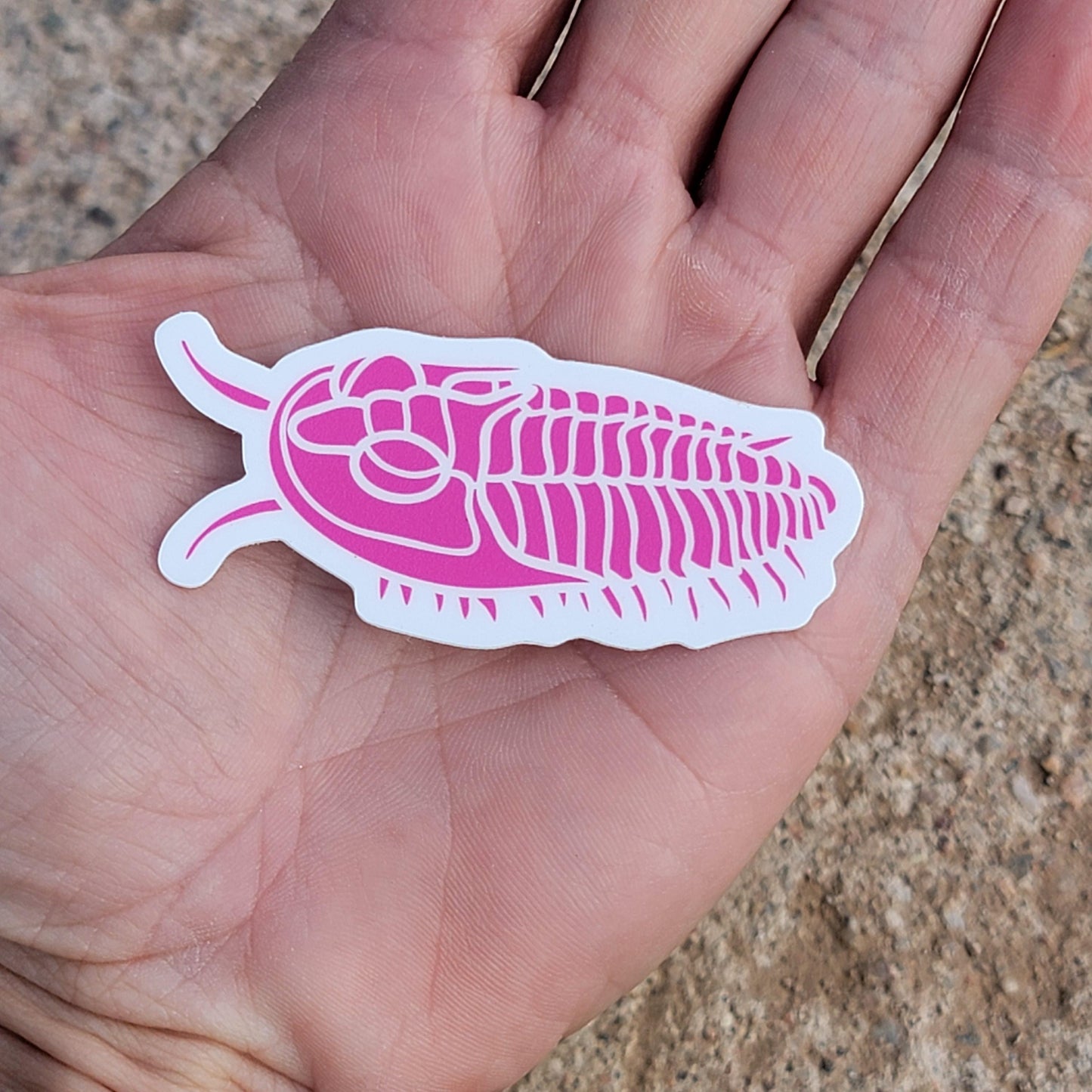 Trilobite Sticker | Neon Pink | Fossil Sticker for Phone Case, Coffee Mug, or Laptop