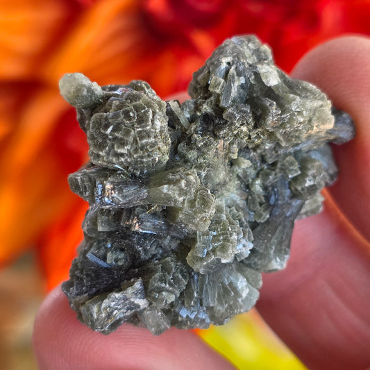 Prehnite Rock Specimen | Green Crystals | Natural Mineral from Morocco, Imilchil Region | Geology Gift