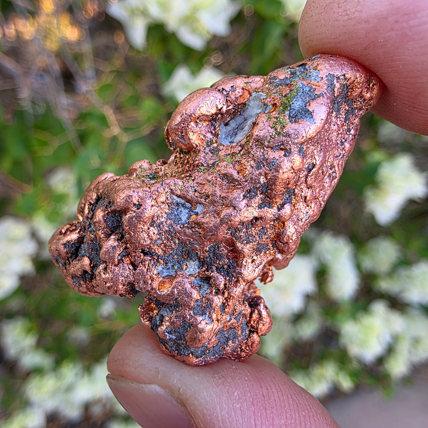 Shiny Michigan Copper - Rock Specimen from the Keweenaw Peninsula