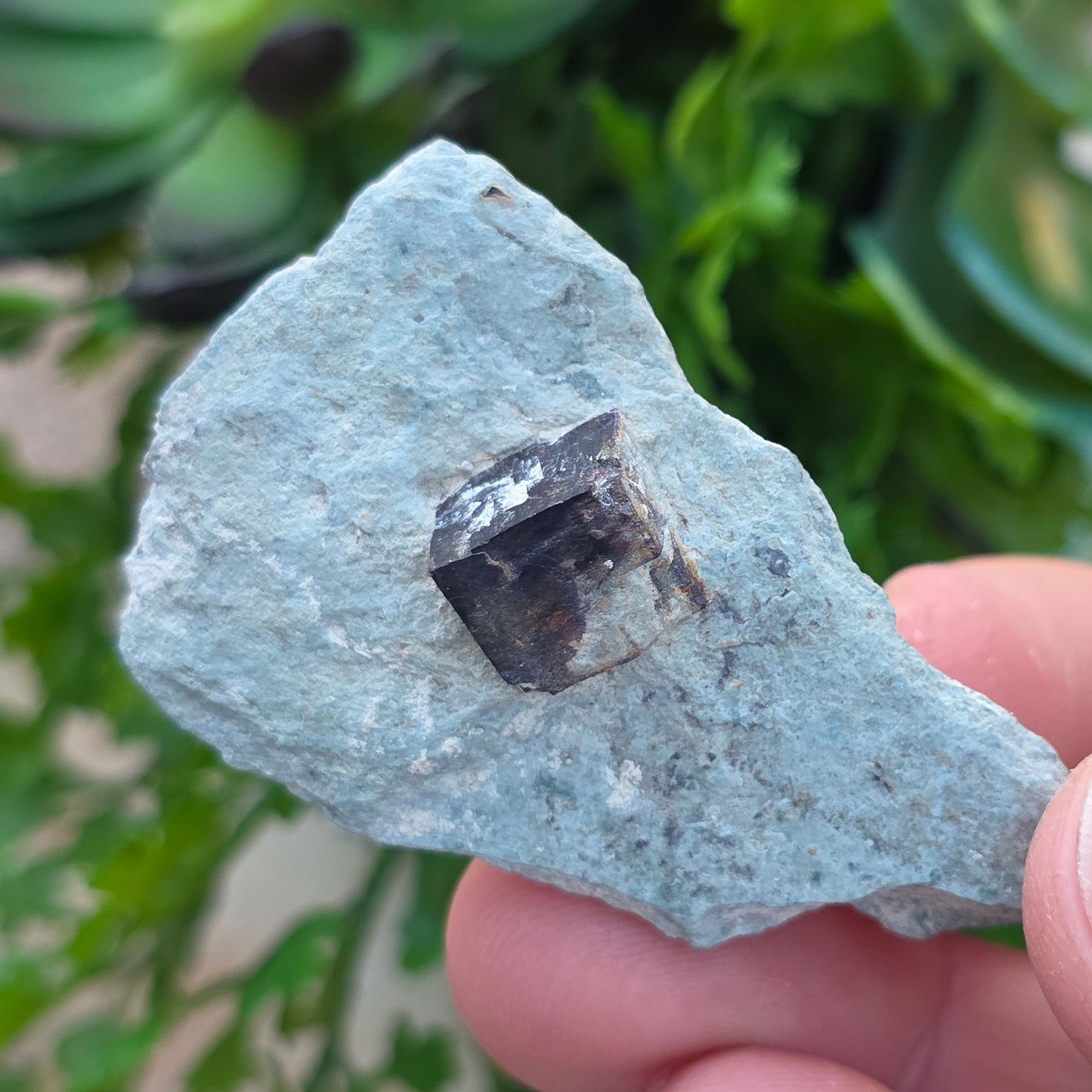 Limonite after Pyrite Cube on Matrix from the Harquahala Mountains, Arizona | Pseudomorph Rock Specimen | 20 g | Raw Stone | Geology Gift