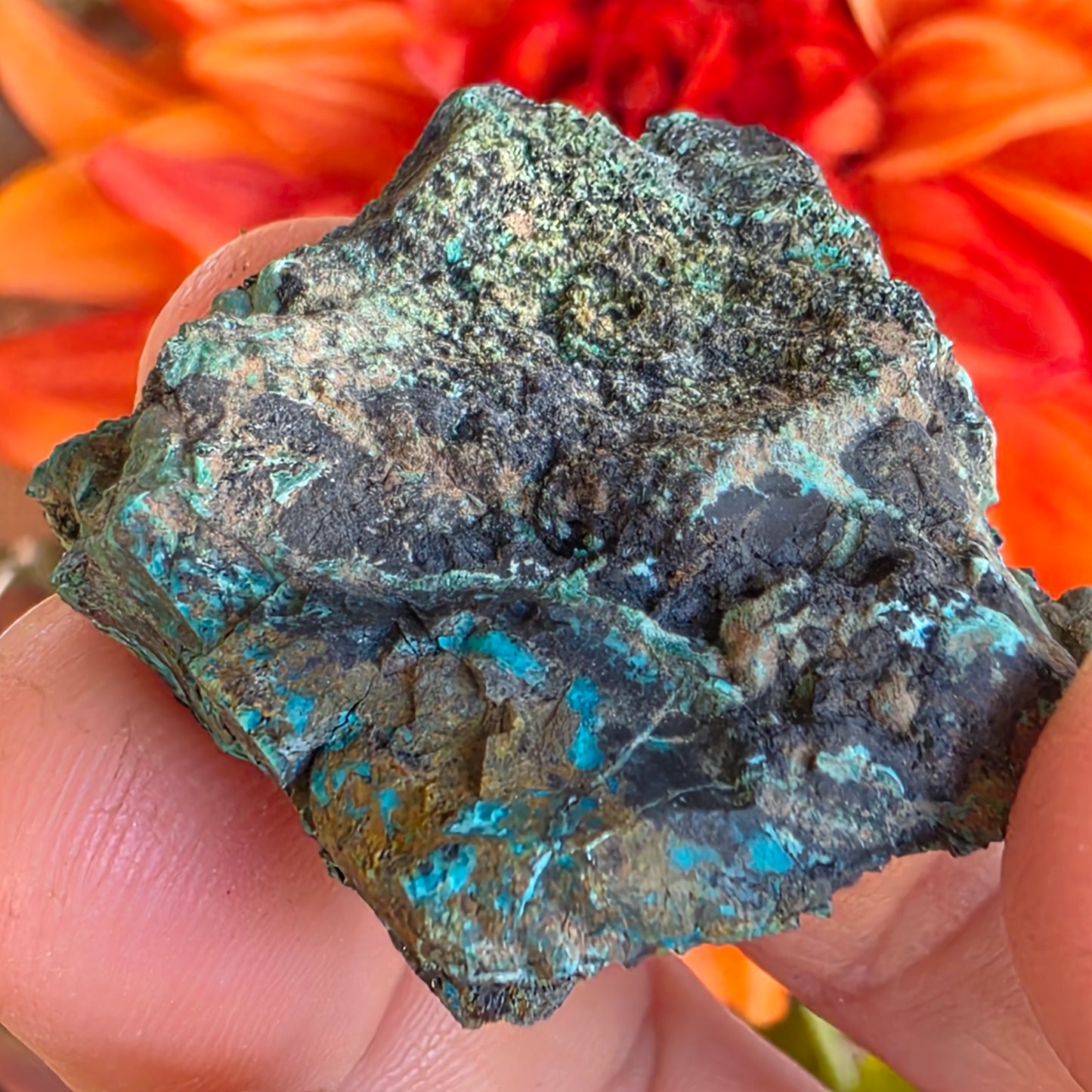 Chrysocolla Mineral Specimen, Copper Ore Rock, Planet Mine, Arizona, with Botryoidal Texture Feature