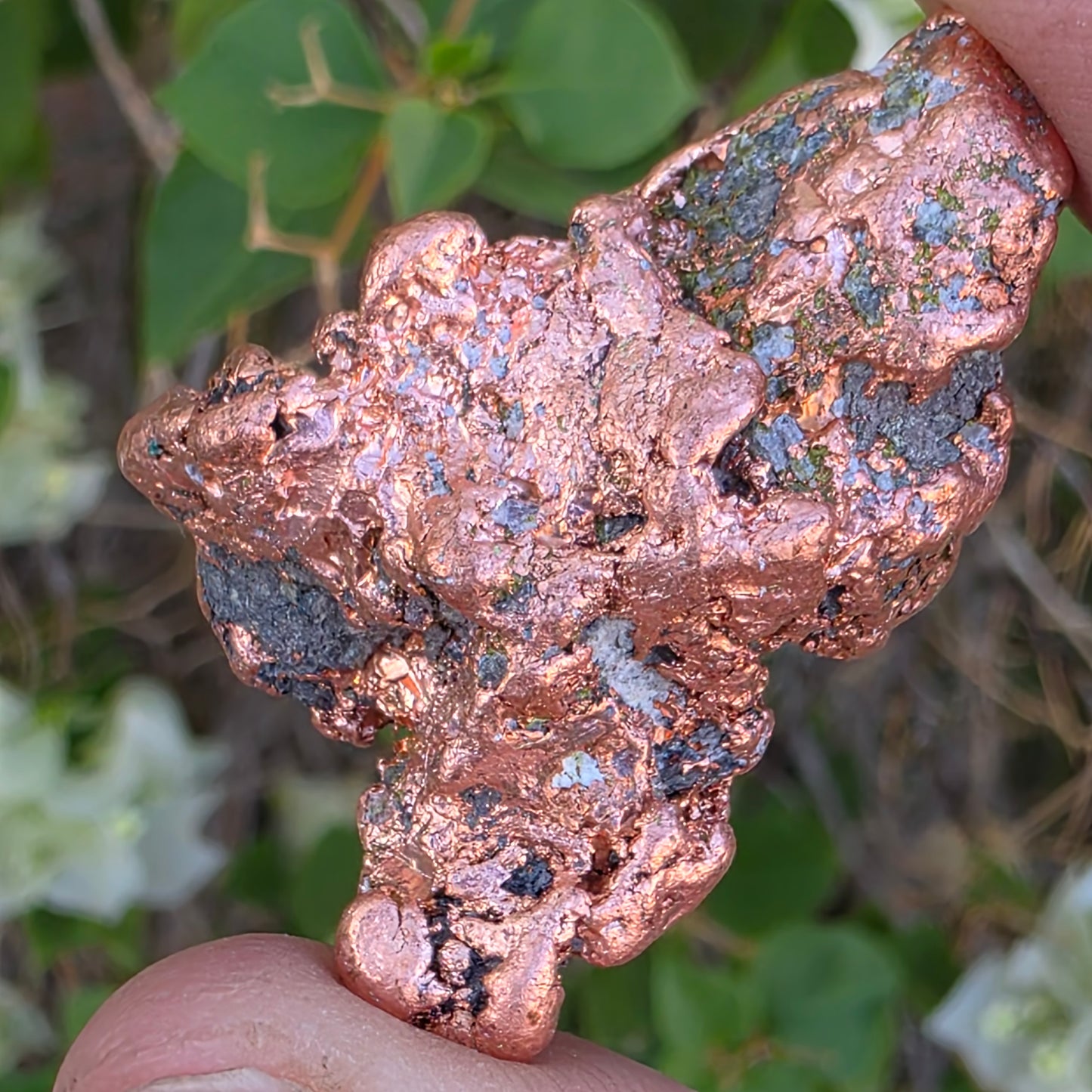 Shiny Michigan Copper - Rock Specimen from the Keweenaw Peninsula