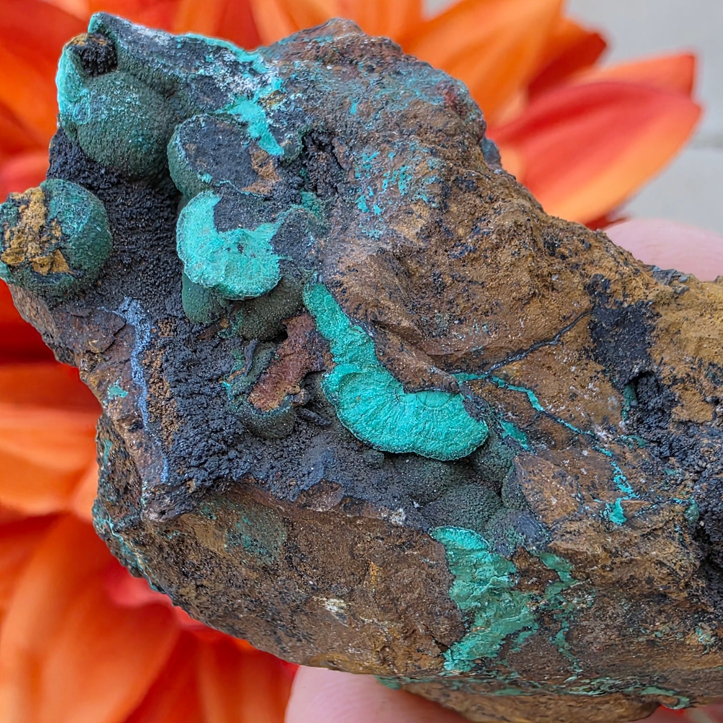 Malachite Copper Ore Rock Specimen | Planet Mine | Arizona | Natural Raw Stone | 59 g