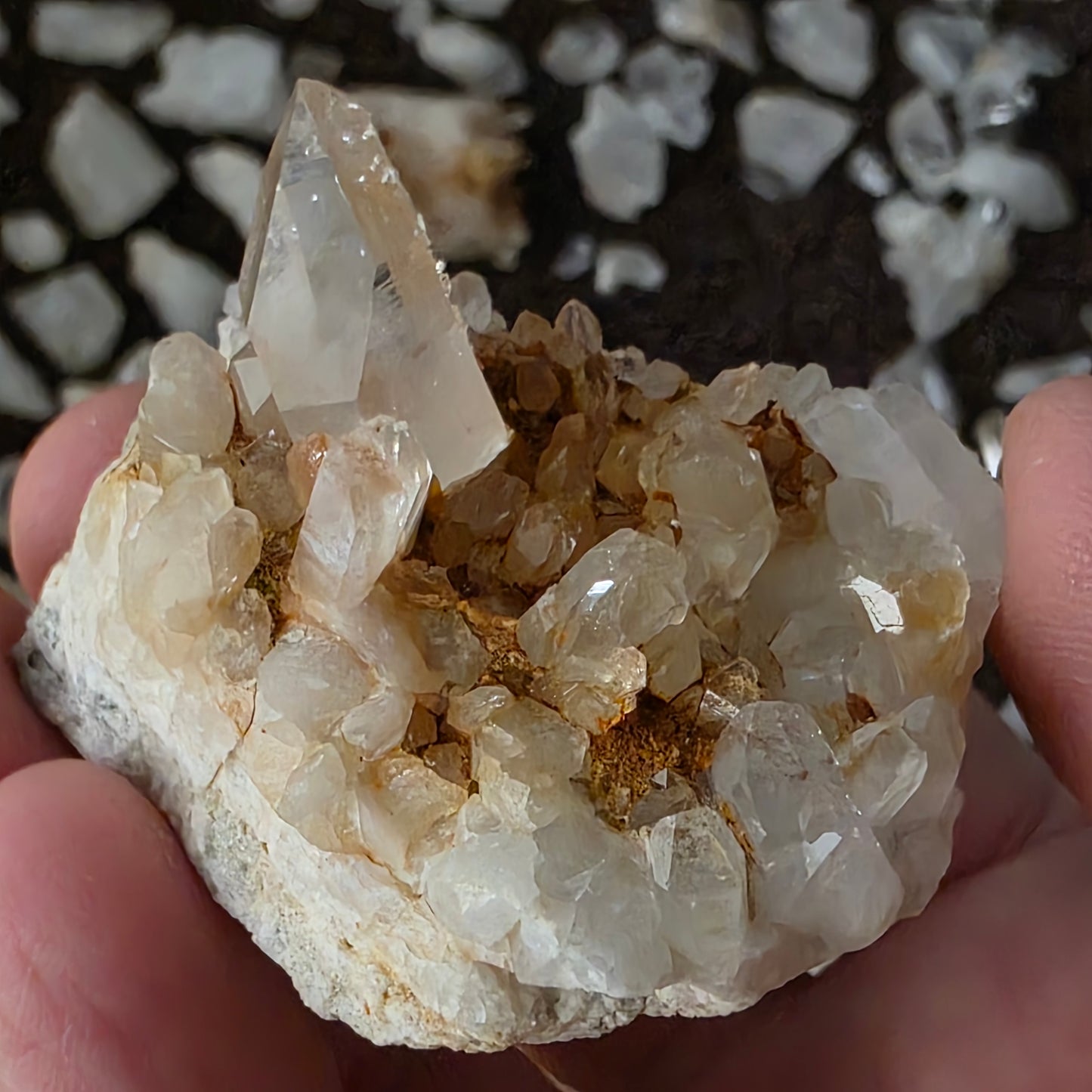 Gorgeous Natural Clear Quartz Crystal Cluster from Mt. Ida, Arkansas | Raw Mineral Specimen | 61.49 grams