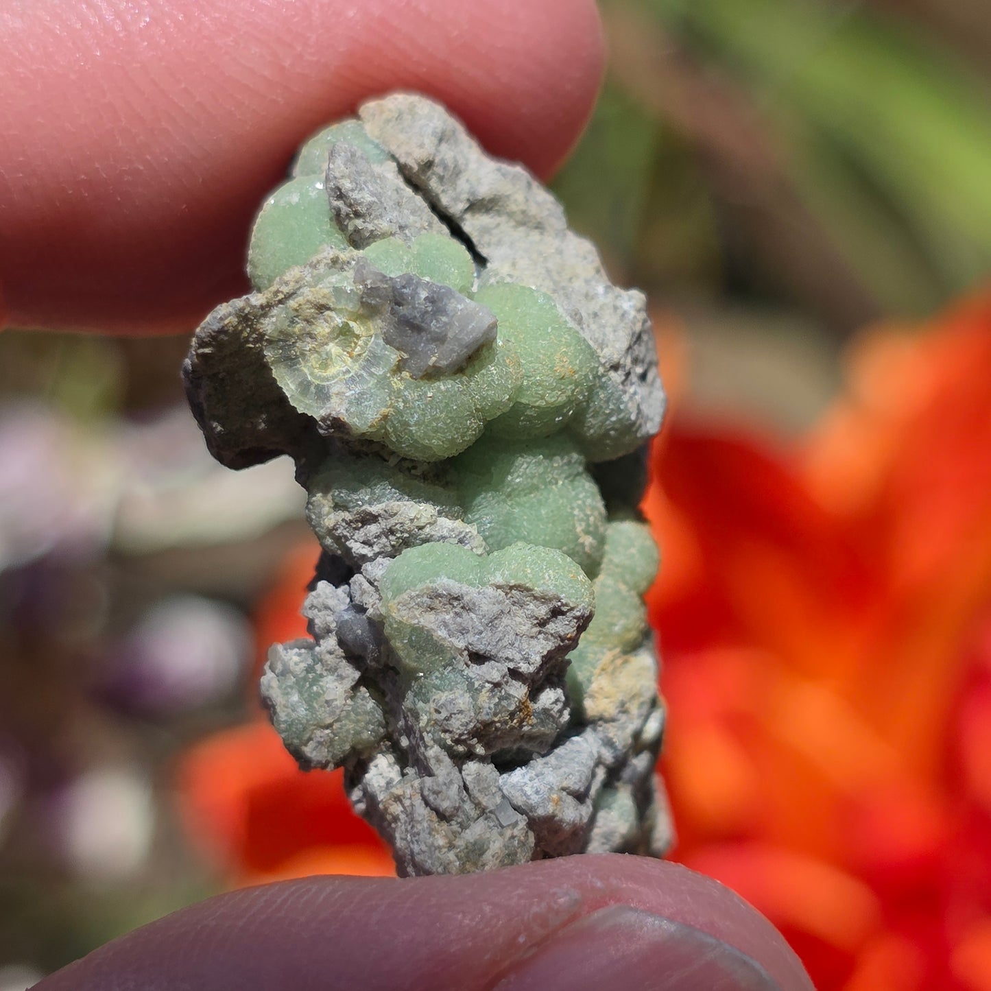 Green Wavellite Rock Specimen | Mt. Ida, Arkansas | Raw Stone