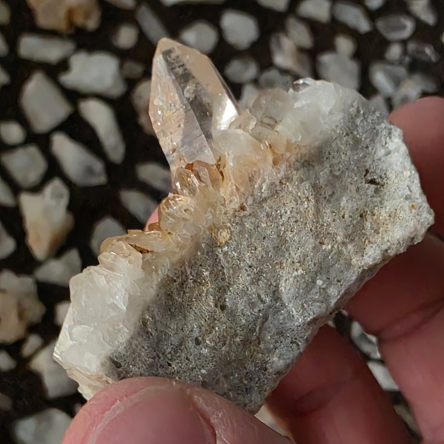 Gorgeous Natural Clear Quartz Crystal Cluster from Mt. Ida, Arkansas | Raw Mineral Specimen | 61.49 grams