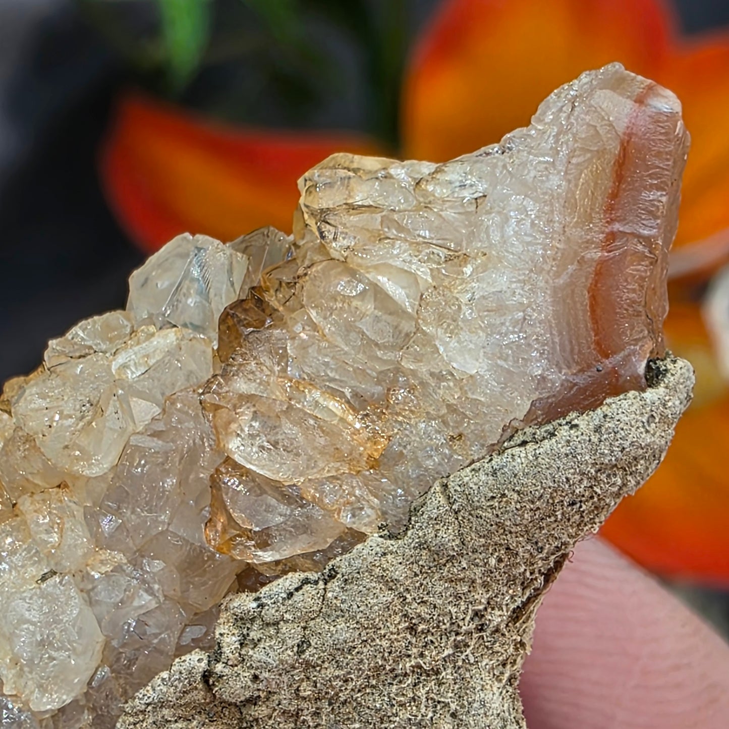Agate with Quartz Crystal Specimen: Natural Mule Mountains, California Desert Rock (12.90 grams)