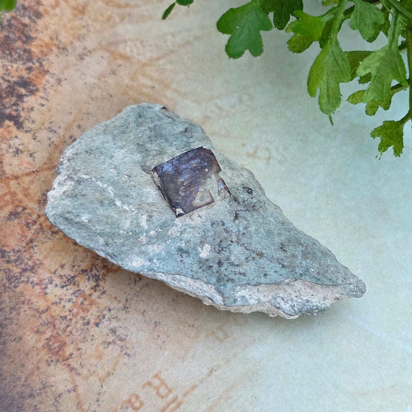 Limonite after Pyrite Cube on Matrix from the Harquahala Mountains, Arizona | Pseudomorph Rock Specimen | 20 g | Raw Stone | Geology Gift