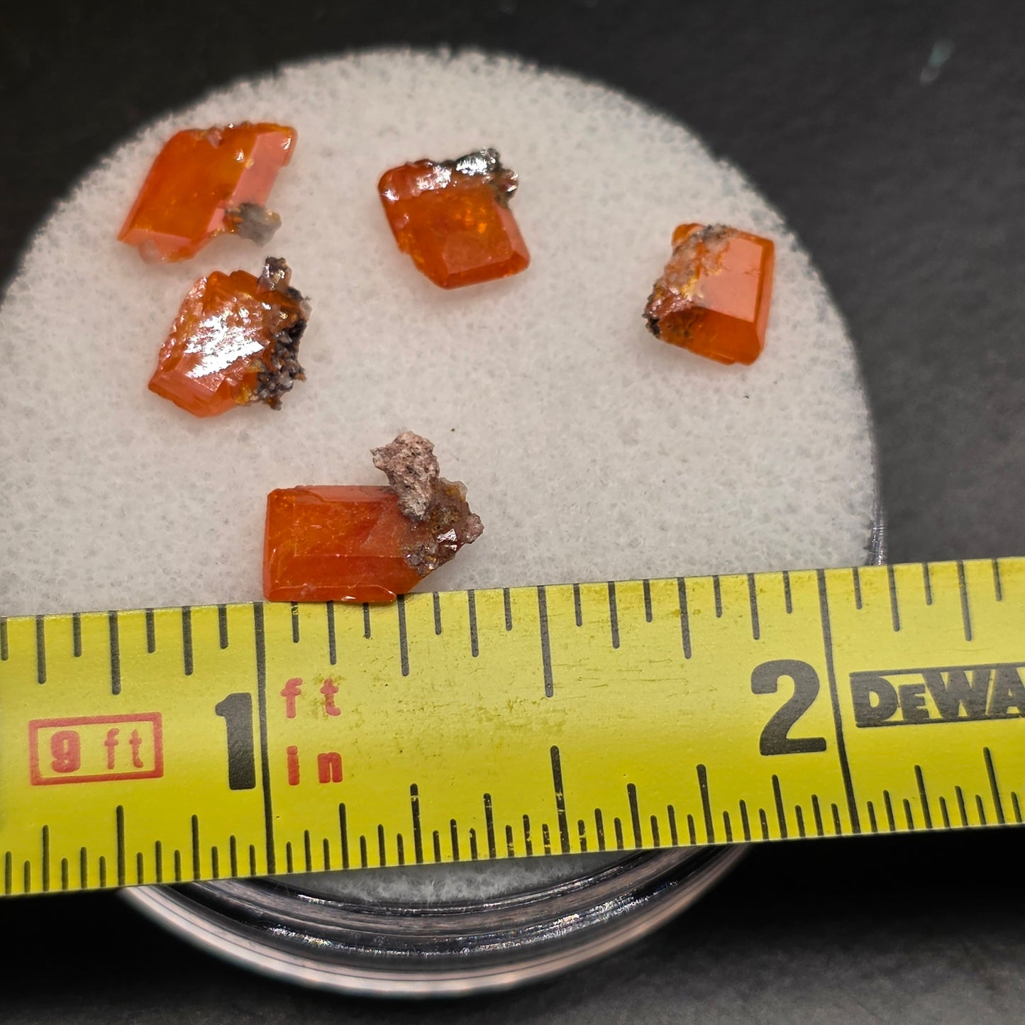 Arizona Wulfenite Gem Jar | 5 Orange Crystals | Red Cloud Mine | La Paz County | Arizona | Raw Stones