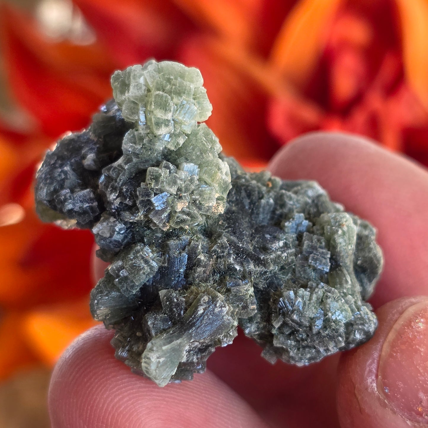 Prehnite Rock Specimen | Green Crystals | Natural Mineral from Morocco, Imilchil Region | Geology Gift