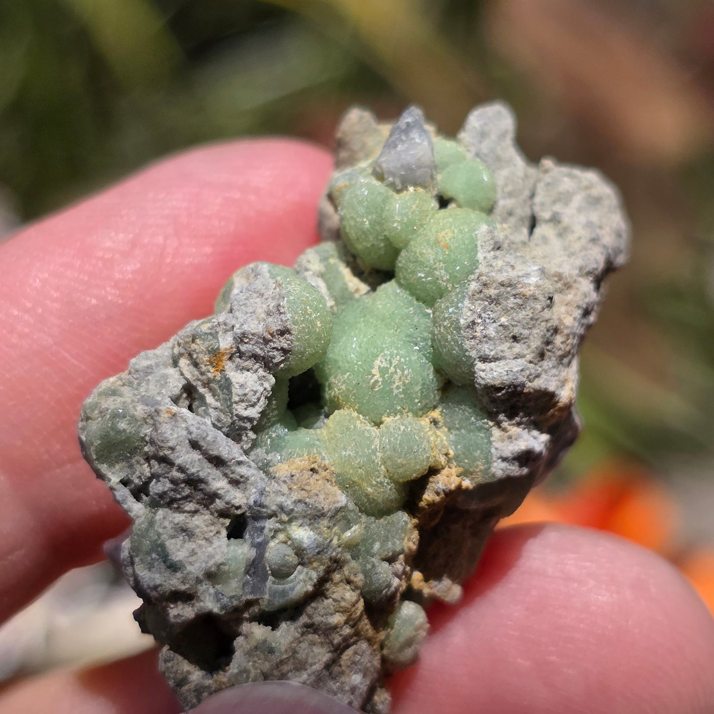 Green Wavellite Rock Specimen | Mt. Ida, Arkansas | Raw Stone