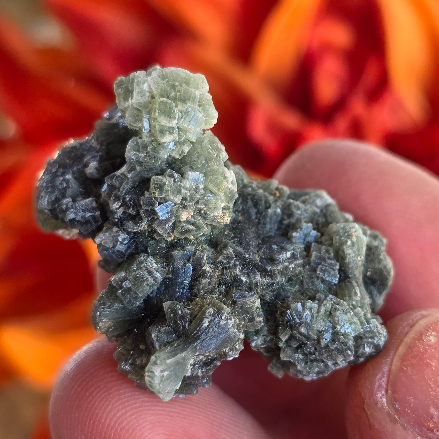 Prehnite Rock Specimen | Green Crystals | Natural Mineral from Morocco, Imilchil Region | Geology Gift