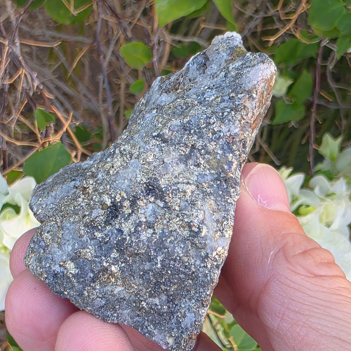Rough Pyrite and Chalcopyrite on Quartz Rock Specimen from Morocco | Sparkly Fool's Gold