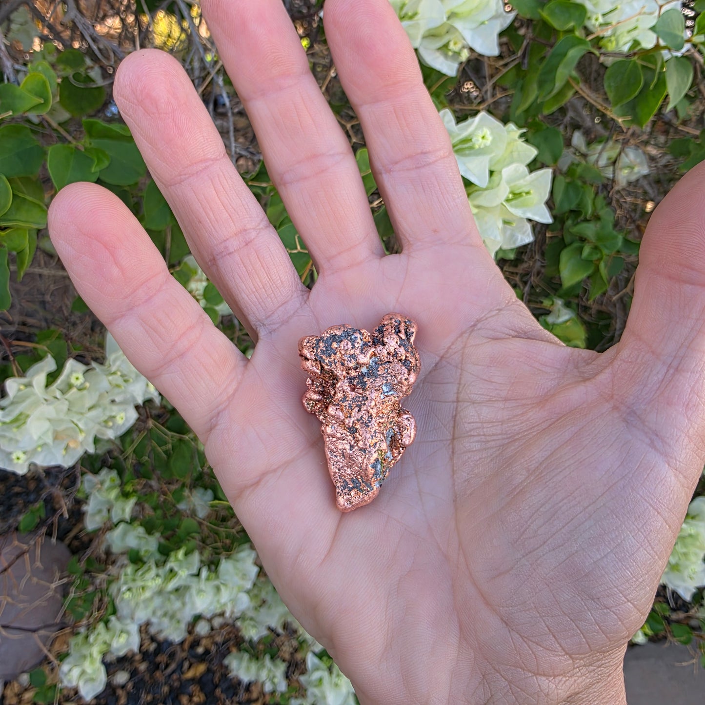 Shiny Michigan Copper - Rock Specimen from the Keweenaw Peninsula