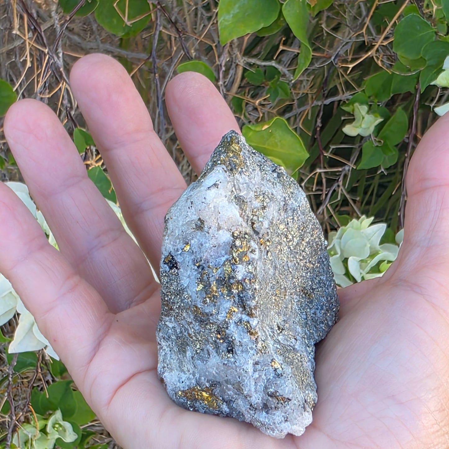 Rough Pyrite and Chalcopyrite on Quartz Rock Specimen from Morocco | Sparkly Fool's Gold