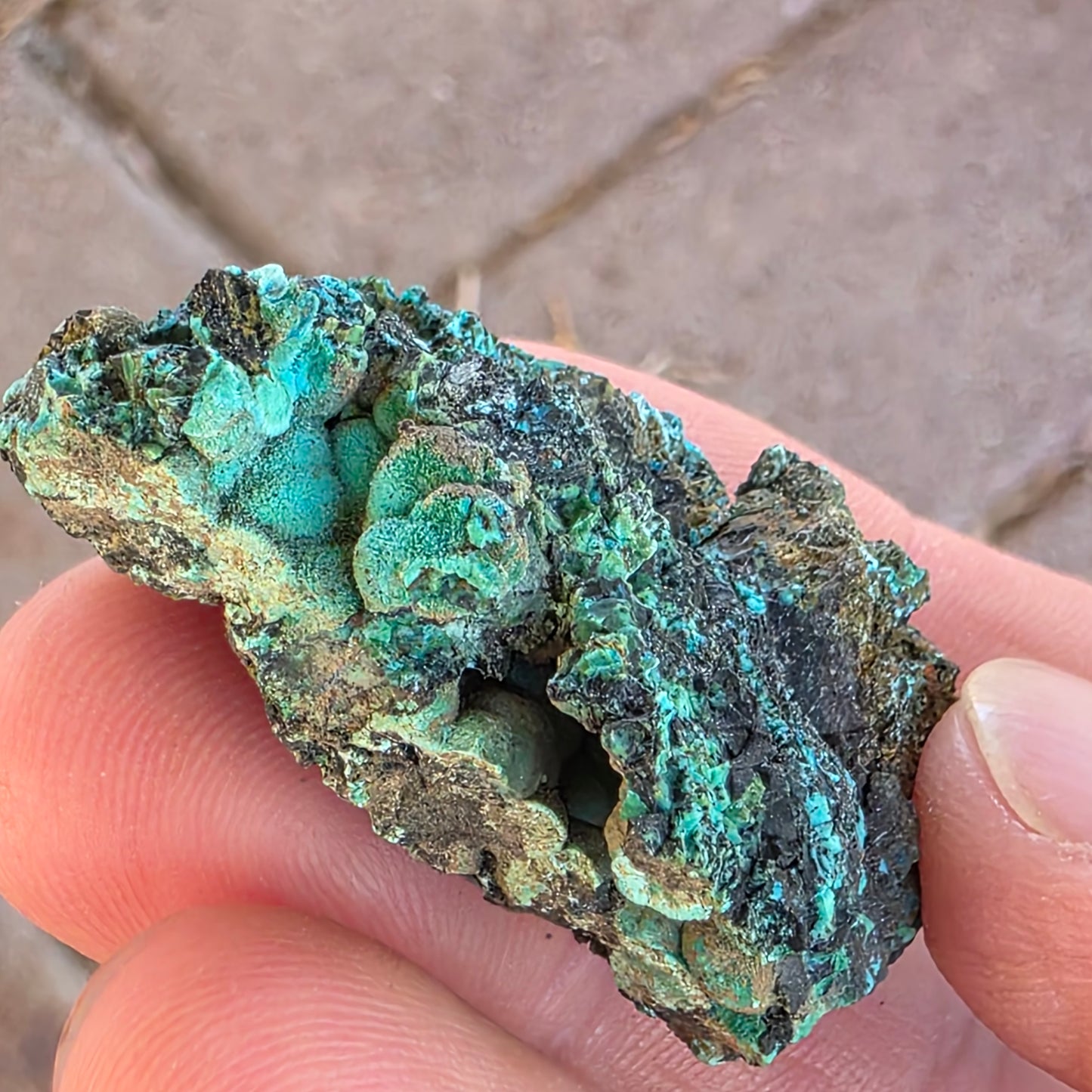 Chrysocolla Mineral Specimen, Copper Ore Rock, Planet Mine, Arizona, with Botryoidal Texture Feature