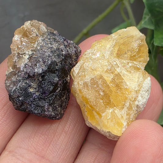Illinois Fluorite Rock Specimens | Hardin County | IL | Raw Yellow and Purple Stones | Rough Minerals