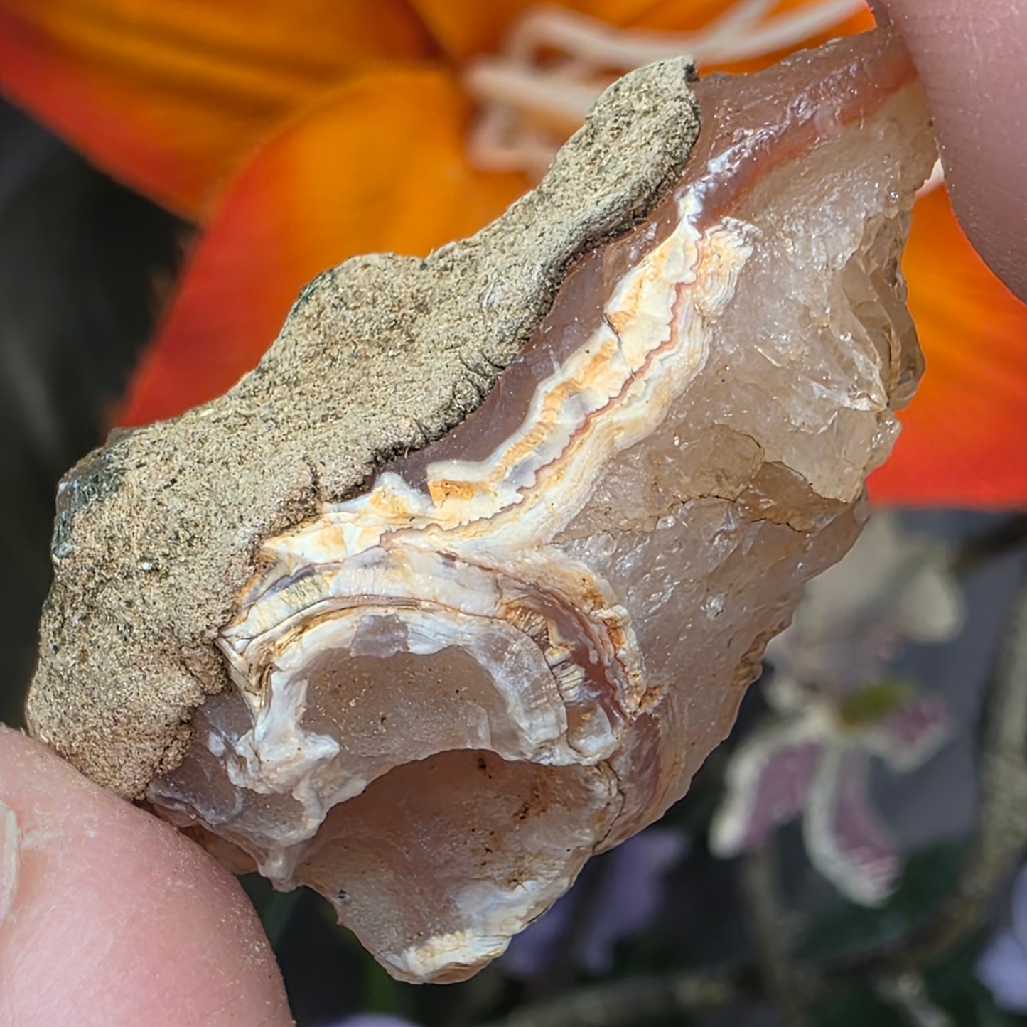 Agate with Quartz Crystal Specimen: Natural Mule Mountains, California Desert Rock (12.90 grams)
