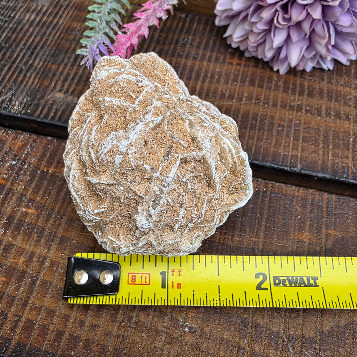 Desert Rose Gypsum Cluster Rock Specimen | Raw Natural Crystal Mineral