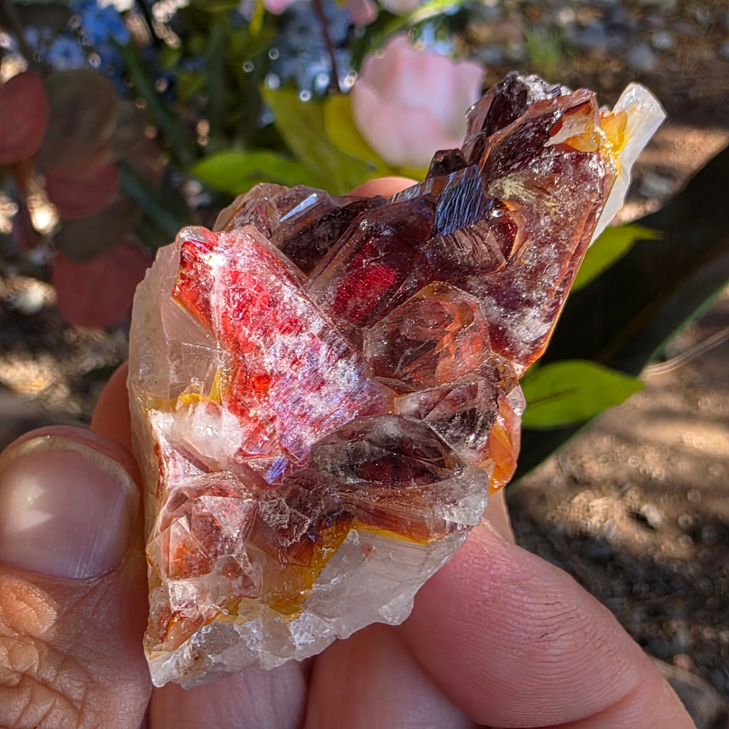 Red Quartz Cluster Crystal Specimen from Morocco | Rough Mineral Sample | 82.57 grams