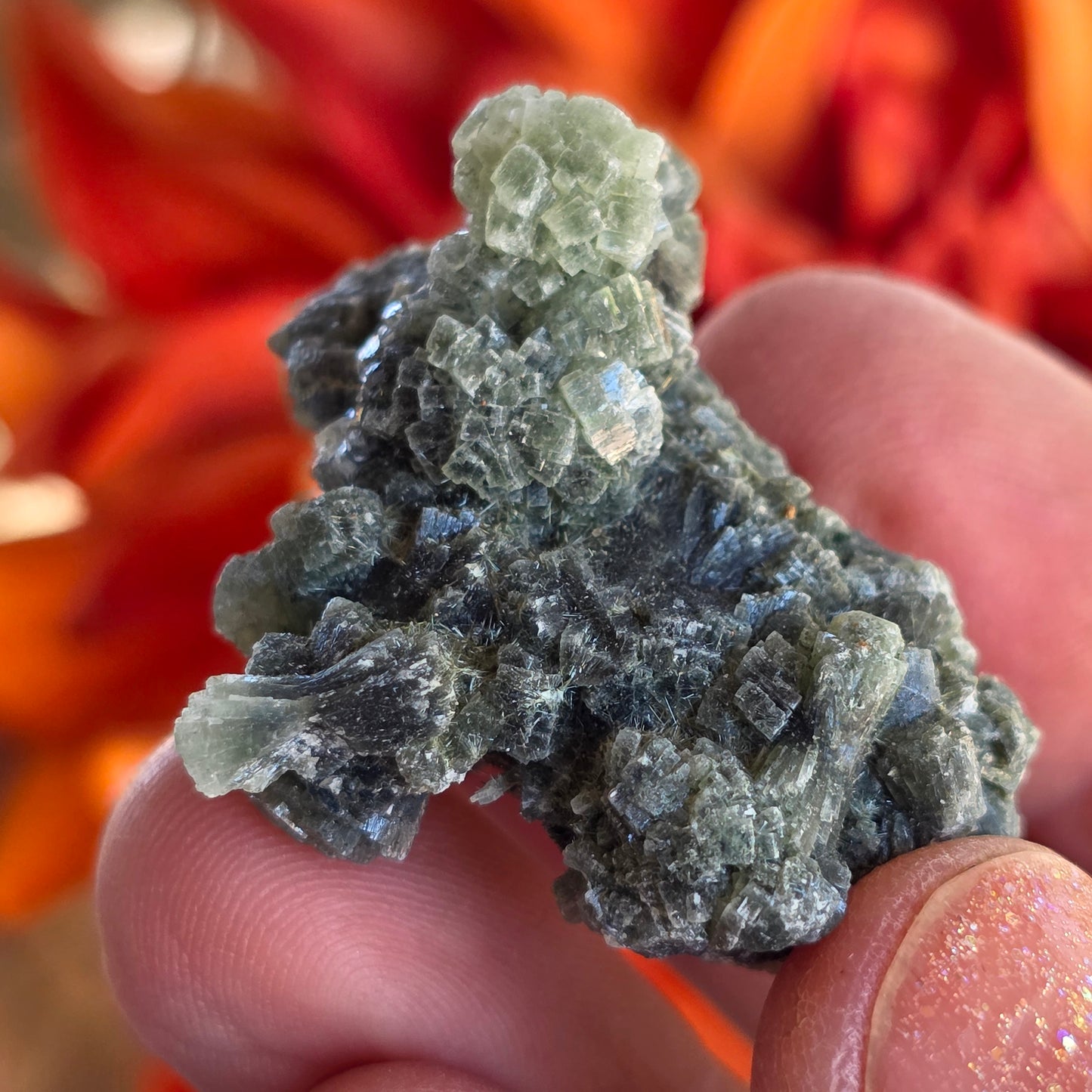 Prehnite Rock Specimen | Green Crystals | Natural Mineral from Morocco, Imilchil Region | Geology Gift