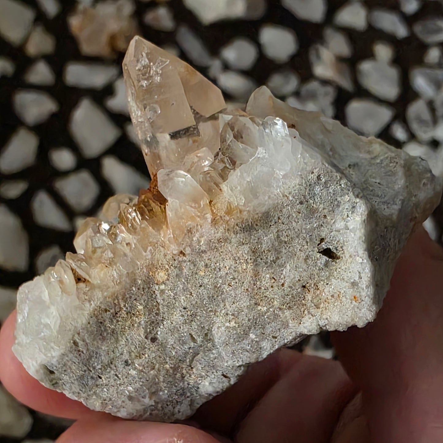 Gorgeous Natural Clear Quartz Crystal Cluster from Mt. Ida, Arkansas | Raw Mineral Specimen | 61.49 grams