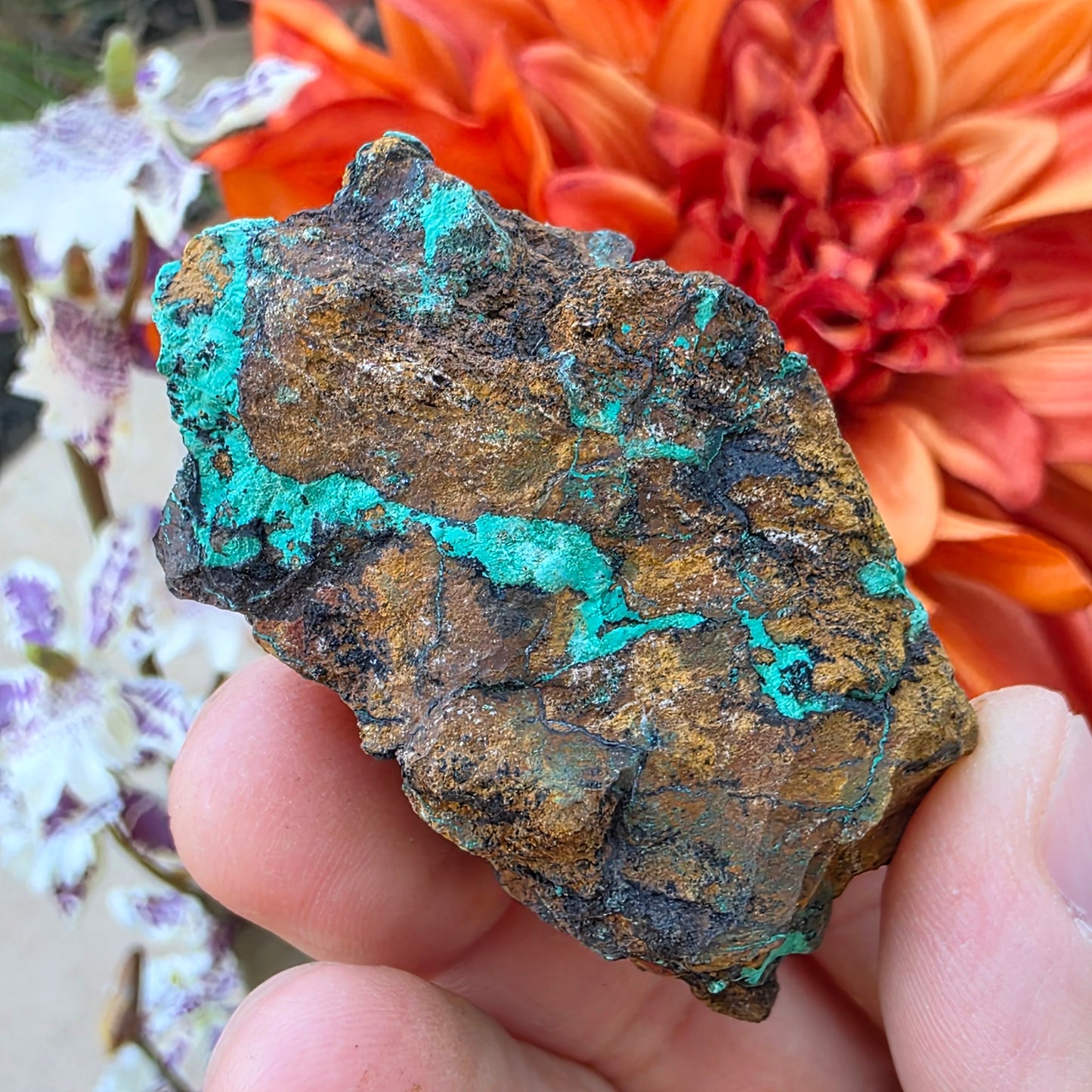 Malachite Copper Ore Rock Specimen | Planet Mine | Arizona | Natural Raw Stone | 59 g