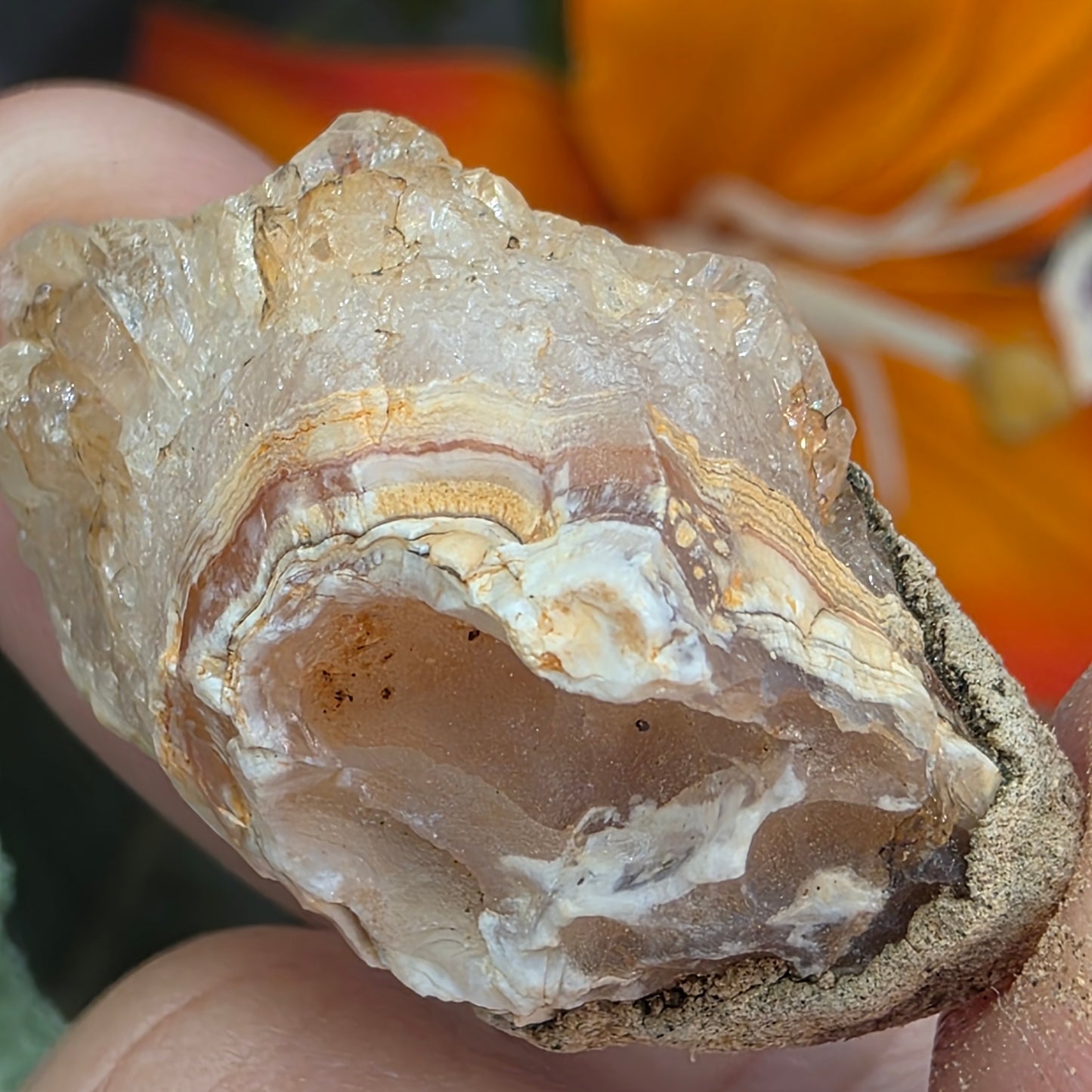 Agate with Quartz Crystal Specimen: Natural Mule Mountains, California Desert Rock (12.90 grams)