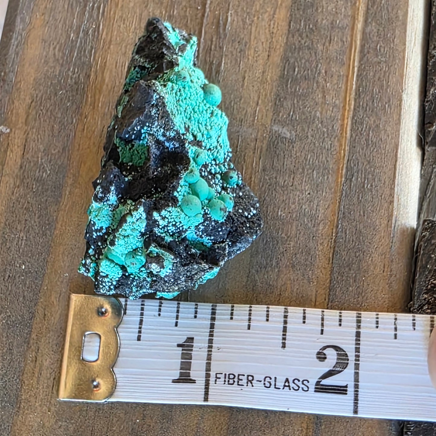 Beautiful Botryoidal Chrysocolla Copper Ore Rock Specimen | Planet Mine | Arizona | Natural Raw Stone
