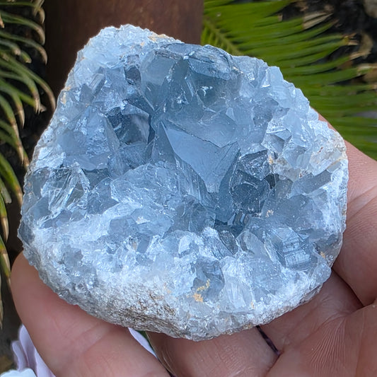 Celestite Crystal Rock Specimen | Natural Blue Mineral | 238 g