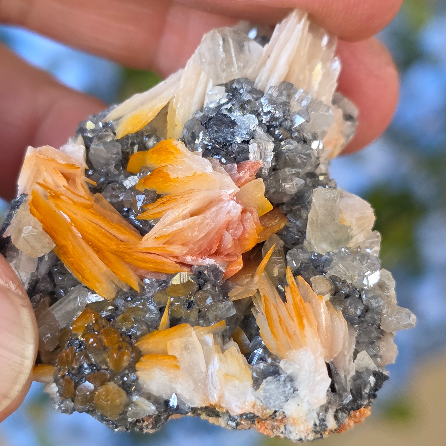 Captivating Cerussite Rock Specimen | with Pink Barite & Galena | UV Reactive Glowing Mineral | Natural Raw Stone | 49 g