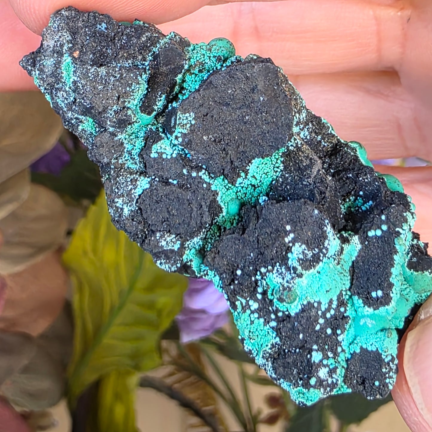 Beautiful Botryoidal Chrysocolla Copper Ore Rock Specimen | Planet Mine | Arizona | Natural Raw Stone