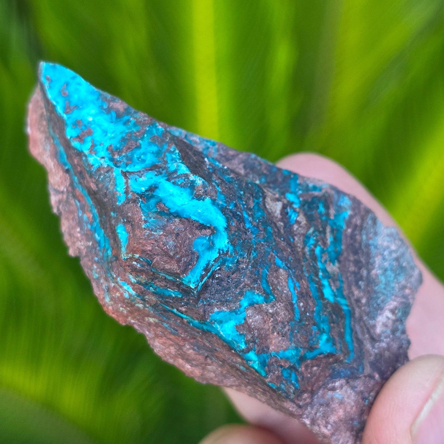 Chrysocolla Copper Ore Rock Specimen | Planet Mine | Arizona | Natural Raw Stone | 70.83 g